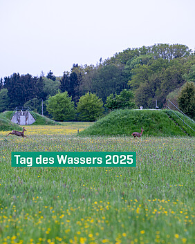 Tag des Wassers 2025